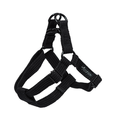 Image under maintenance