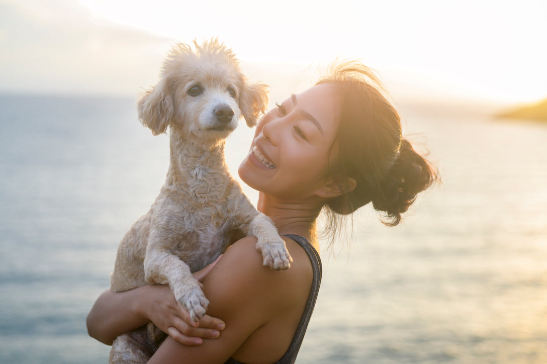 The SuperBarket Guide to Caring for Your Beloved Pet