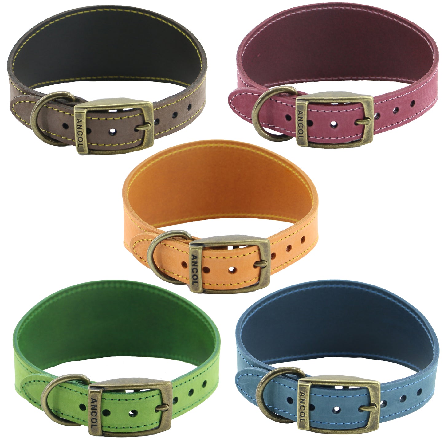 Timberwolf Greyhound Collar