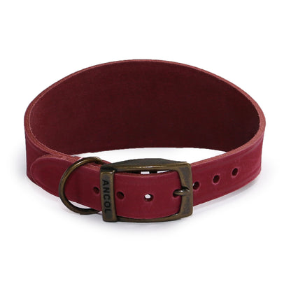 Timberwolf Greyhound Collar - SuperBarket