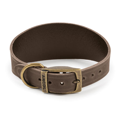 Timberwolf Greyhound Collar - SuperBarket