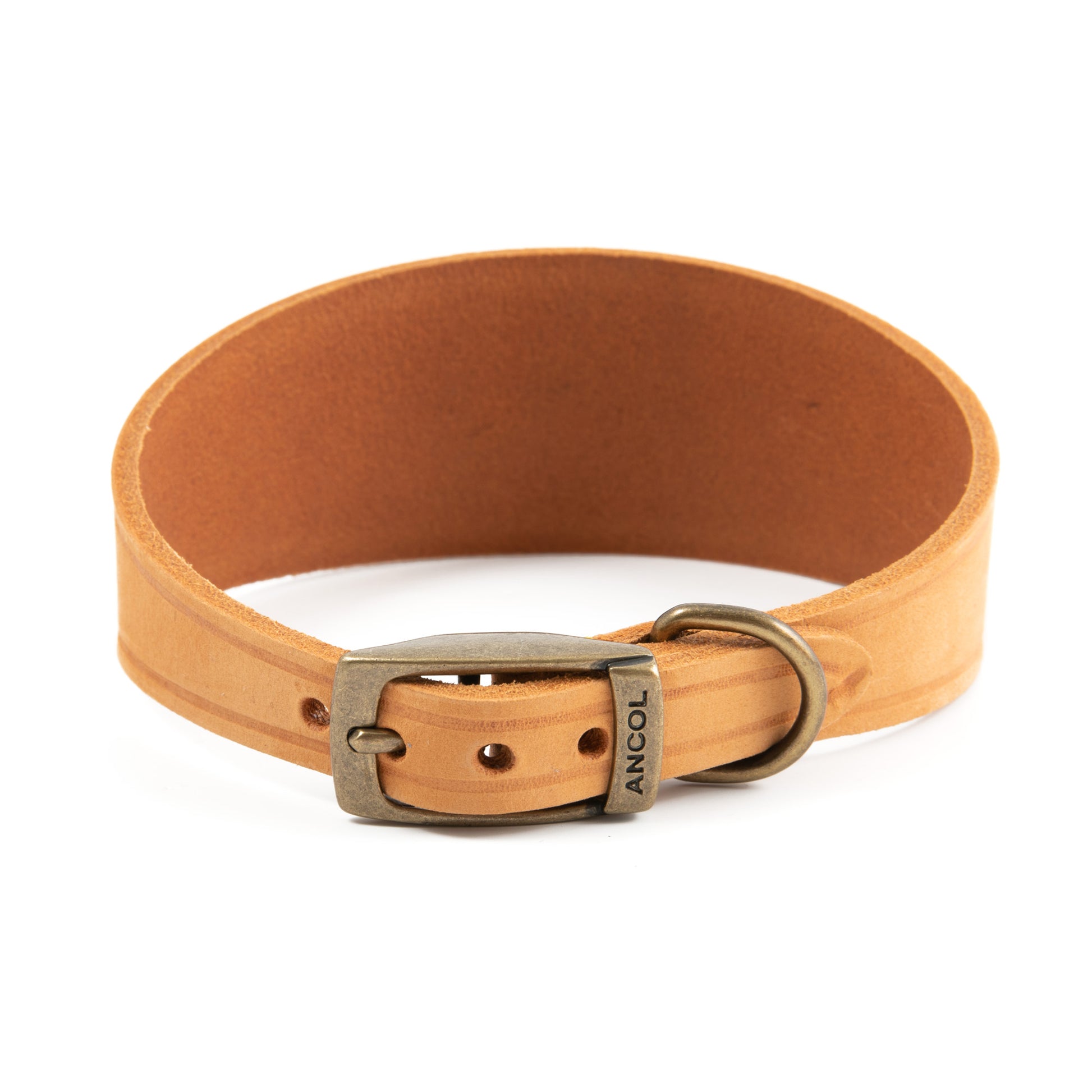 Timberwolf Greyhound Collar - SuperBarket