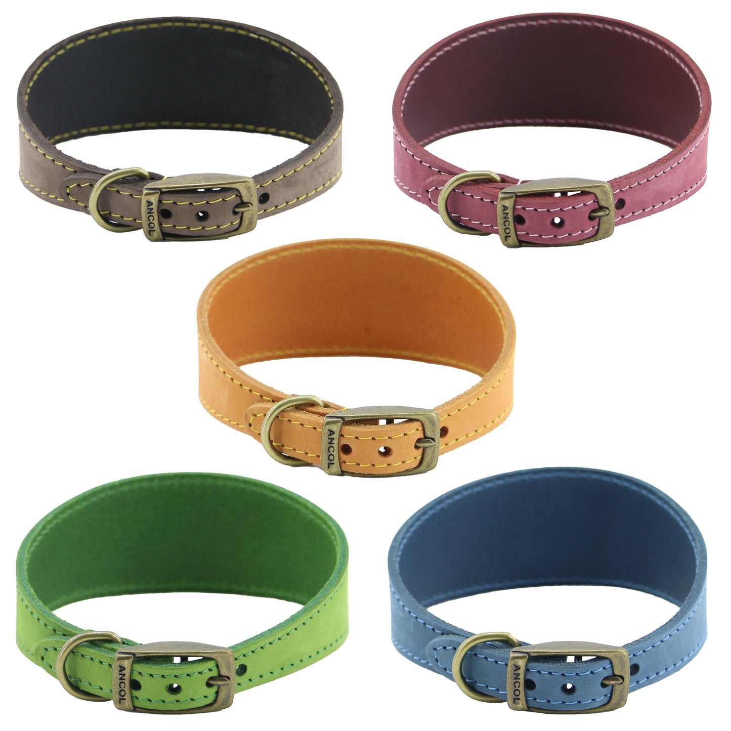 Timberwolf Whippet Leather Collar