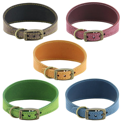 Timberwolf Whippet Leather Collar