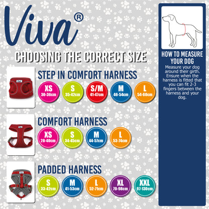 Viva Padded Harness - SuperBarket