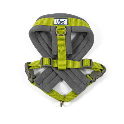 Viva Padded Harness - SuperBarket