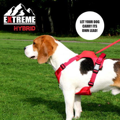 Extreme Hybrid Harness