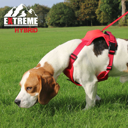 Extreme Hybrid Harness