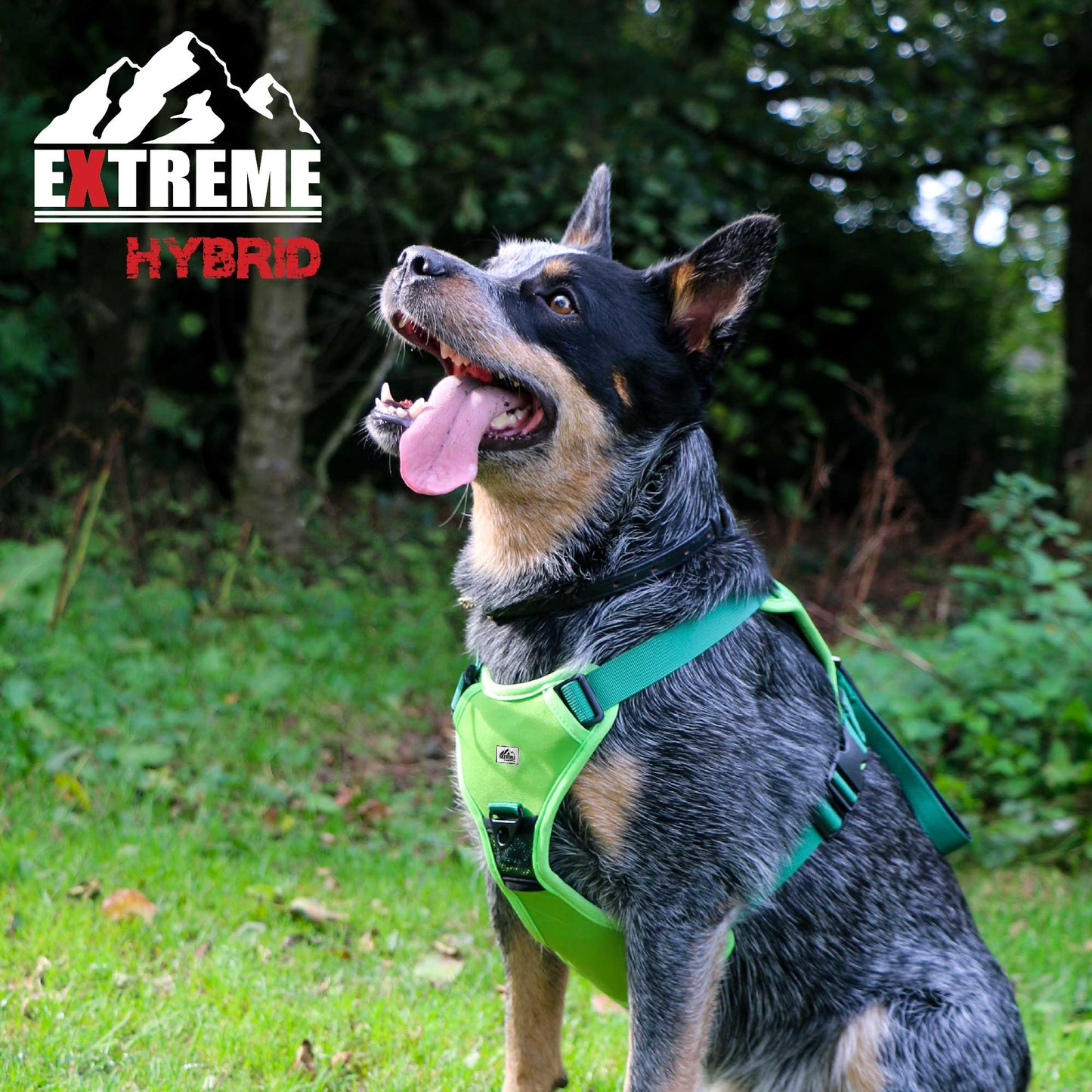 Extreme Hybrid Harness