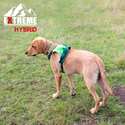 Extreme Hybrid Harness