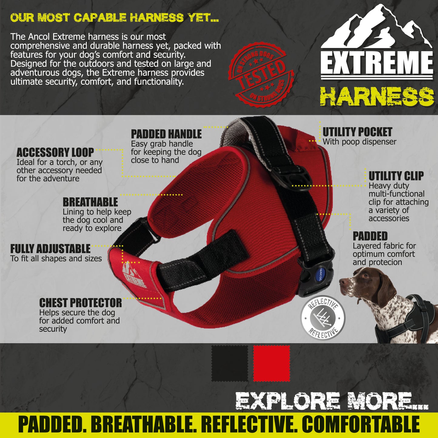 Extreme Harness - SuperBarket