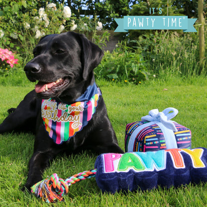 Pawty Bandanna