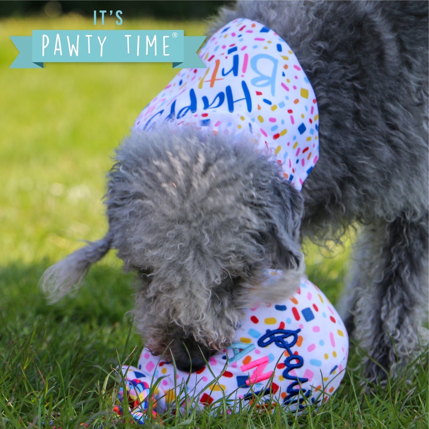 Pawty Balloon