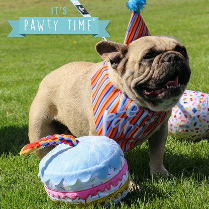 Pawty Sprinkle Cake