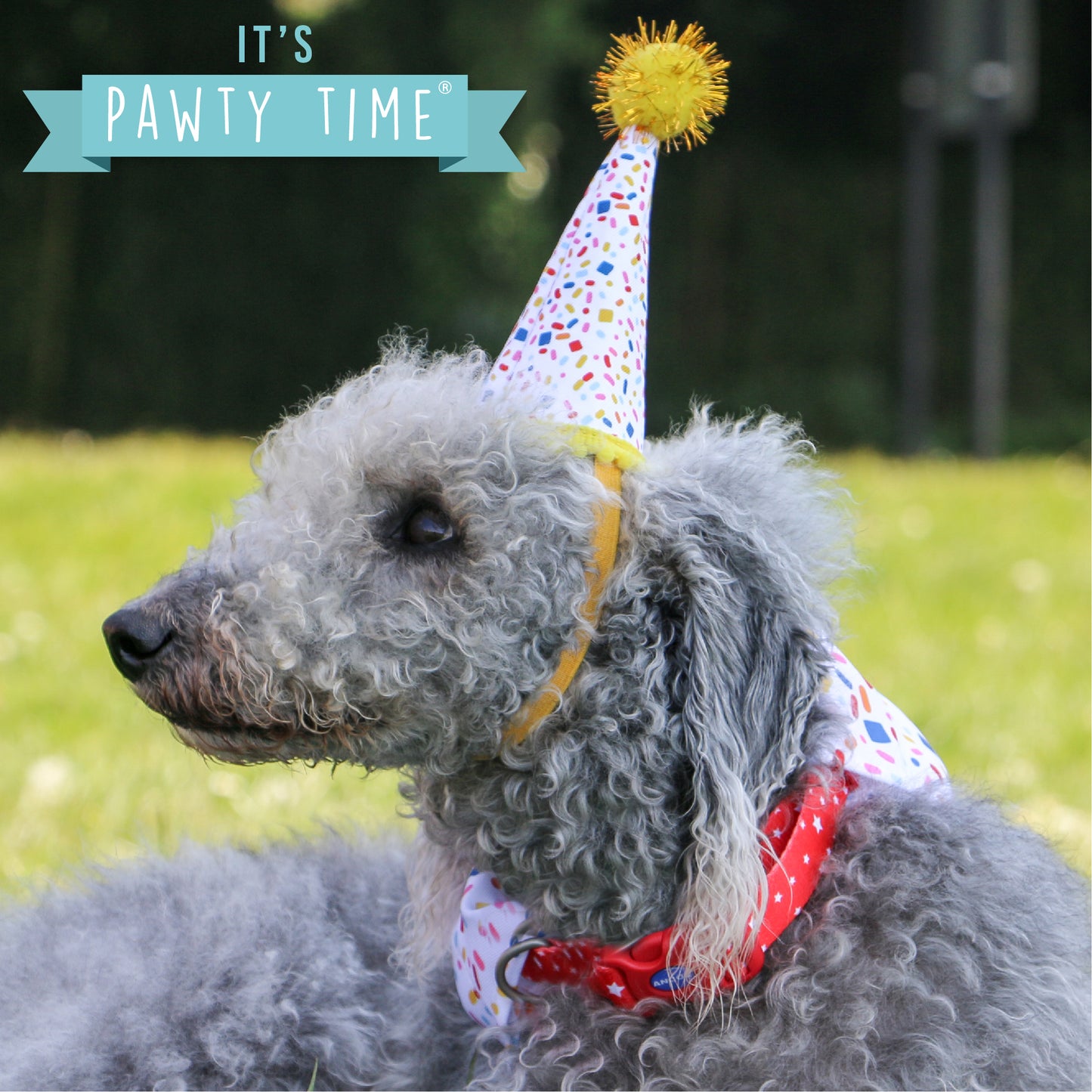 Pawty Sprinkle Hat with Bandana Set M/L