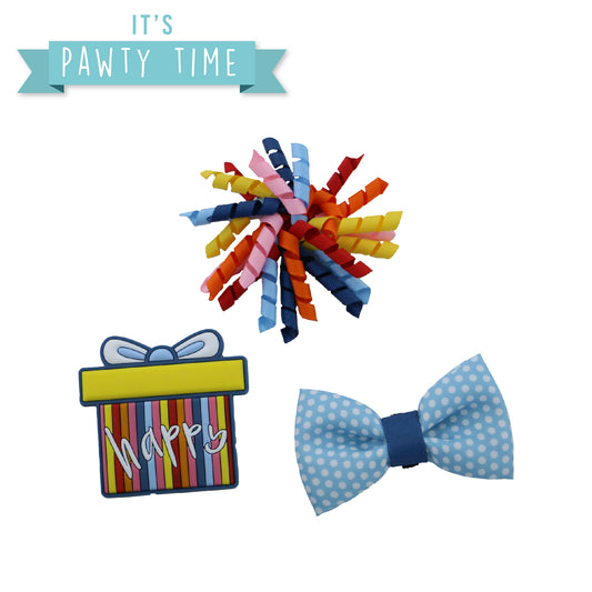 Pawty Stripe Present Accessory Set