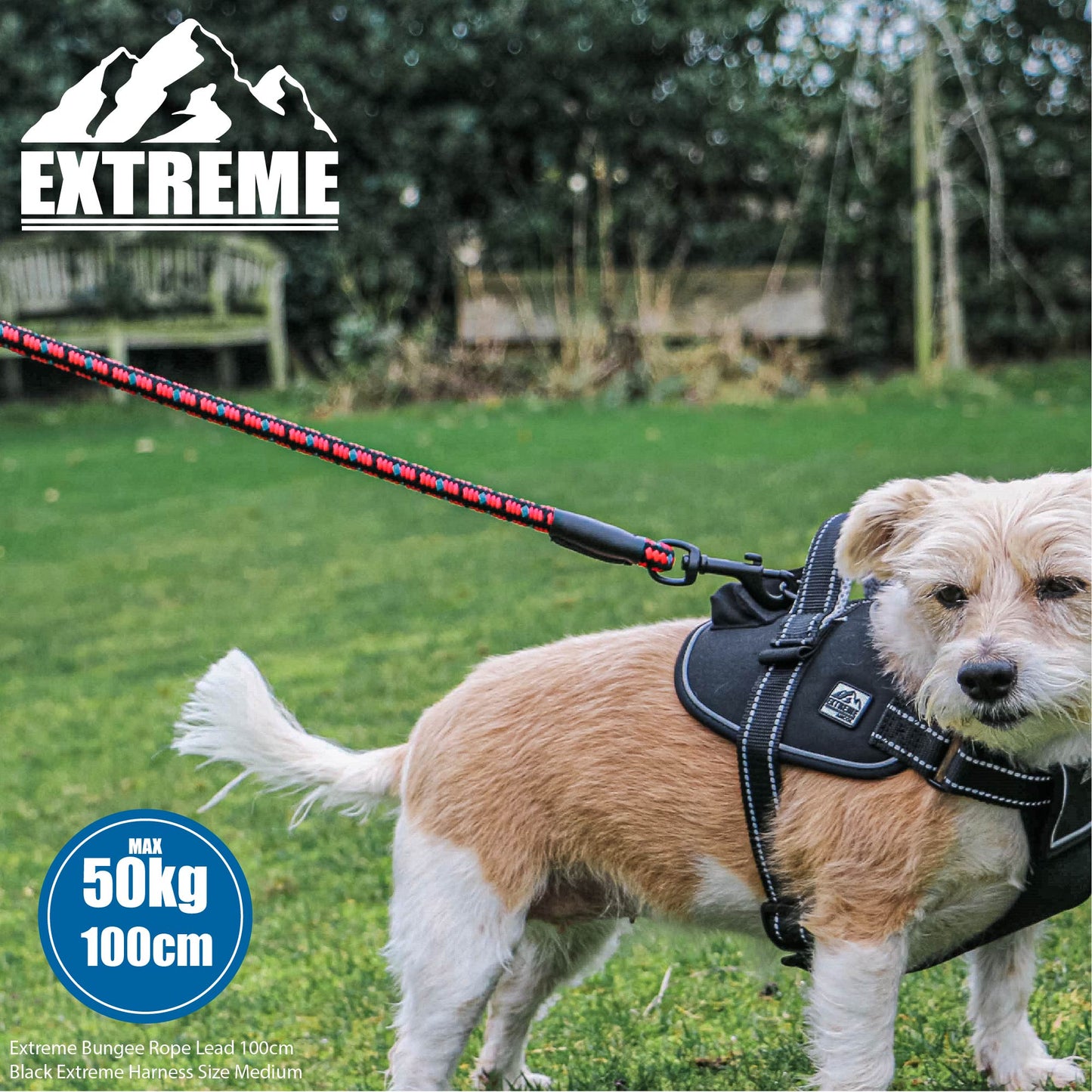 Extreme Shock Absorb Rope Lead Black/Red - SuperBarket