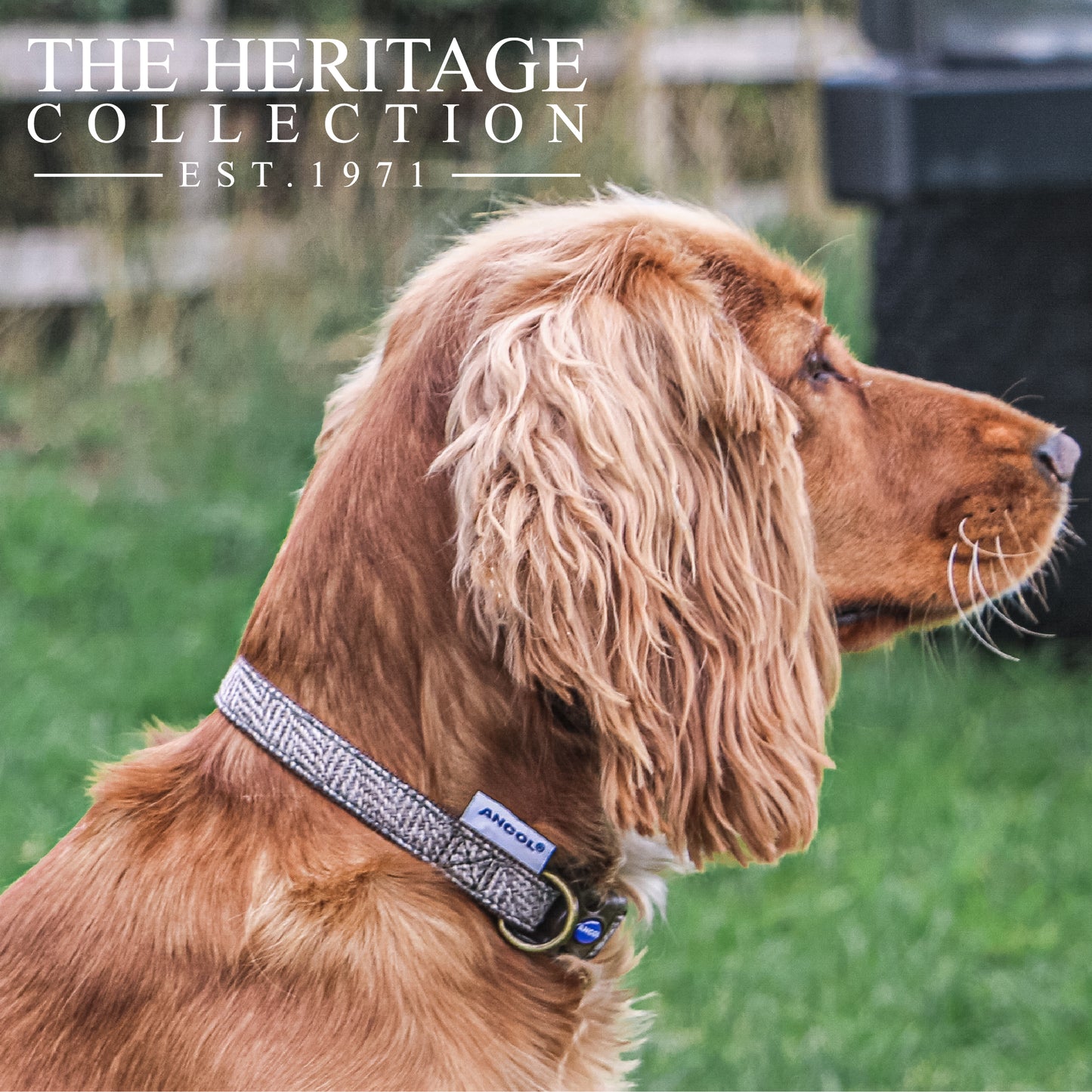 Herringbone Adjustable Collar