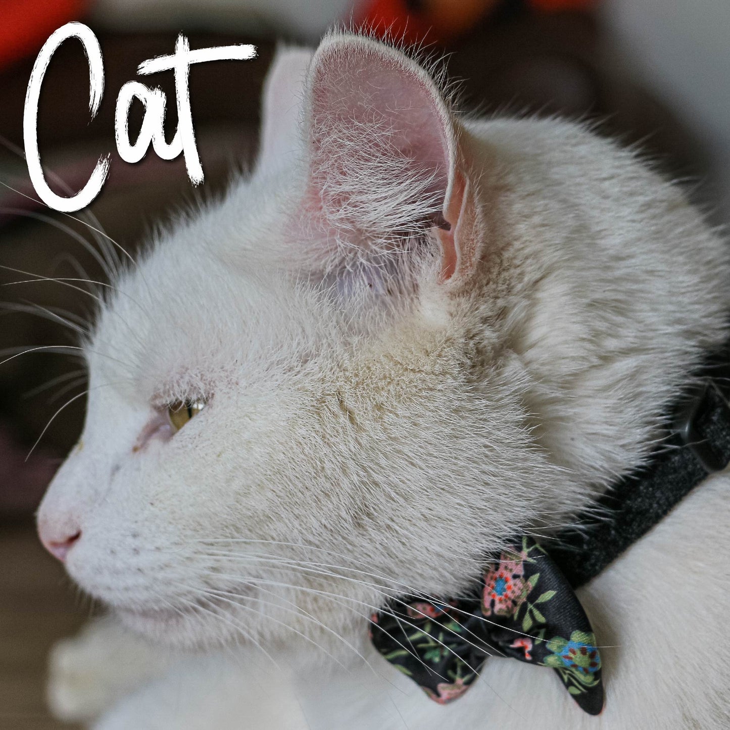 Vintage Bow Safety Cat Collar - SuperBarket