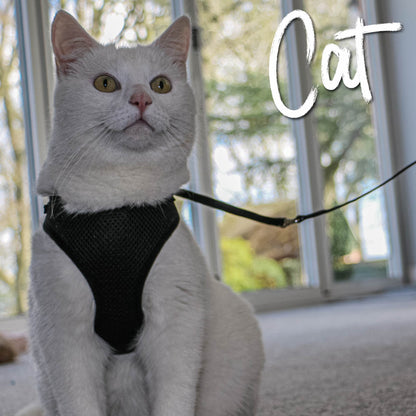 Soft Cat Harness and Lead - SuperBarket