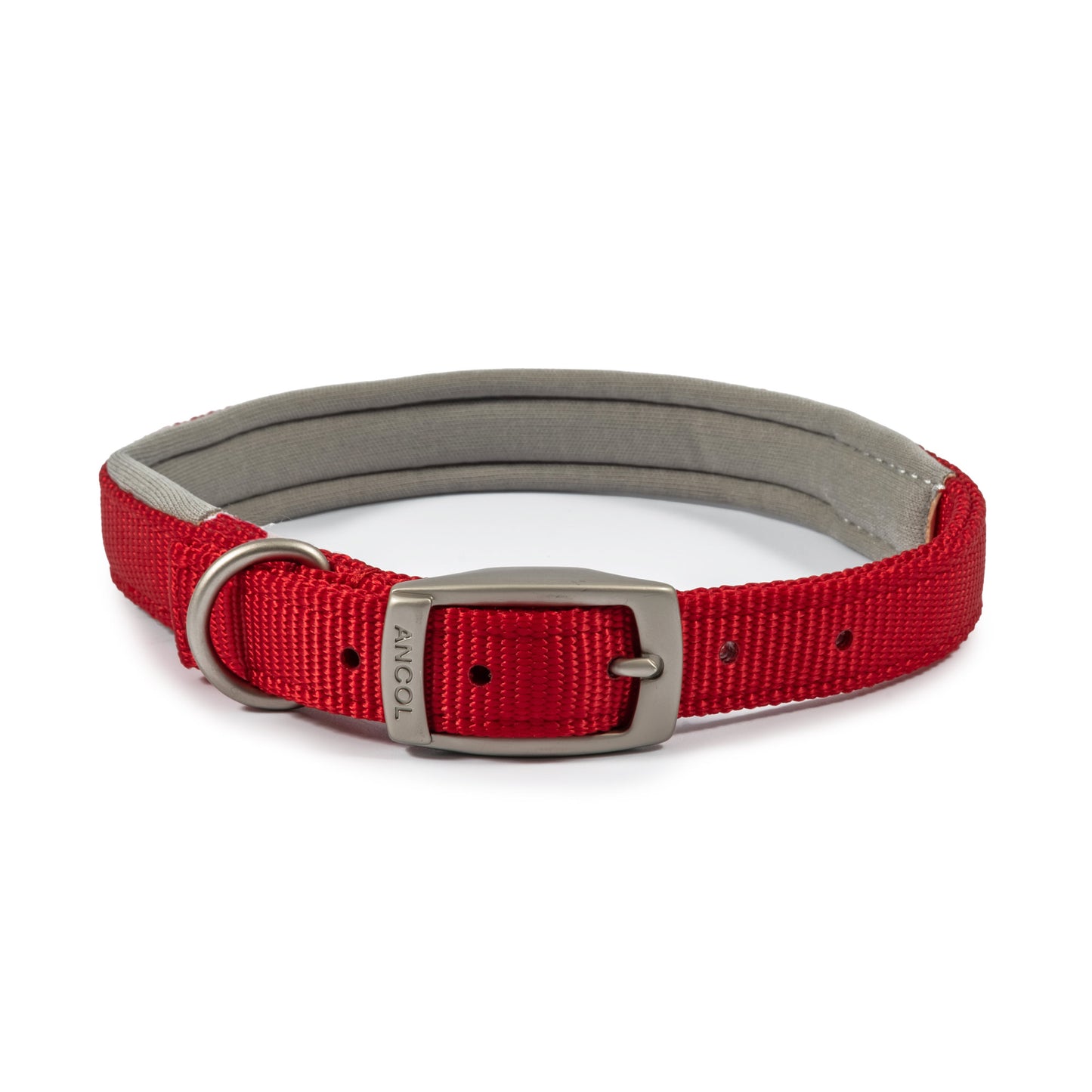 Padded Viva Collar - SuperBarket