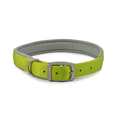 Padded Viva Collar - SuperBarket