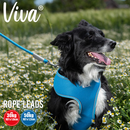 Viva Rope Lead Reflective - SuperBarket