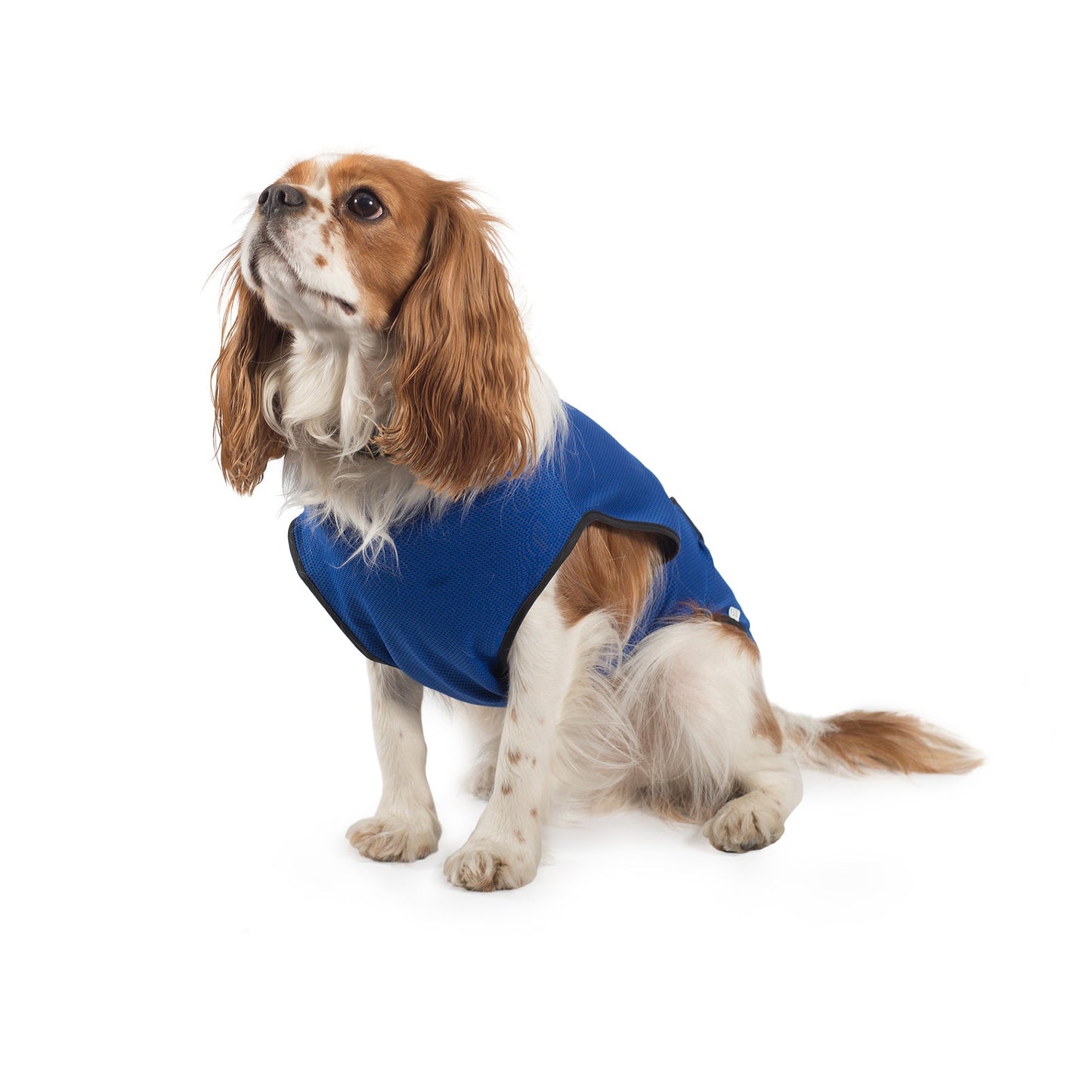 DOG COOLING COAT