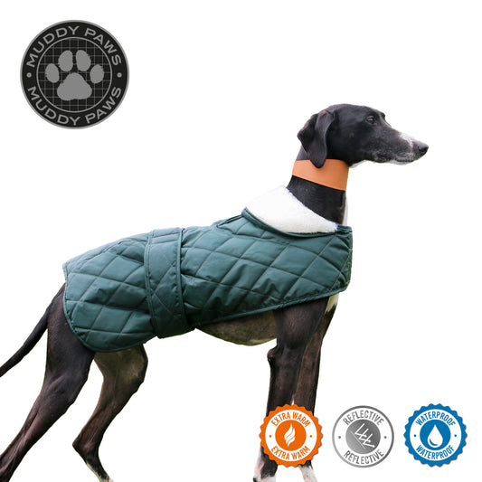 Quilted Hound Coat