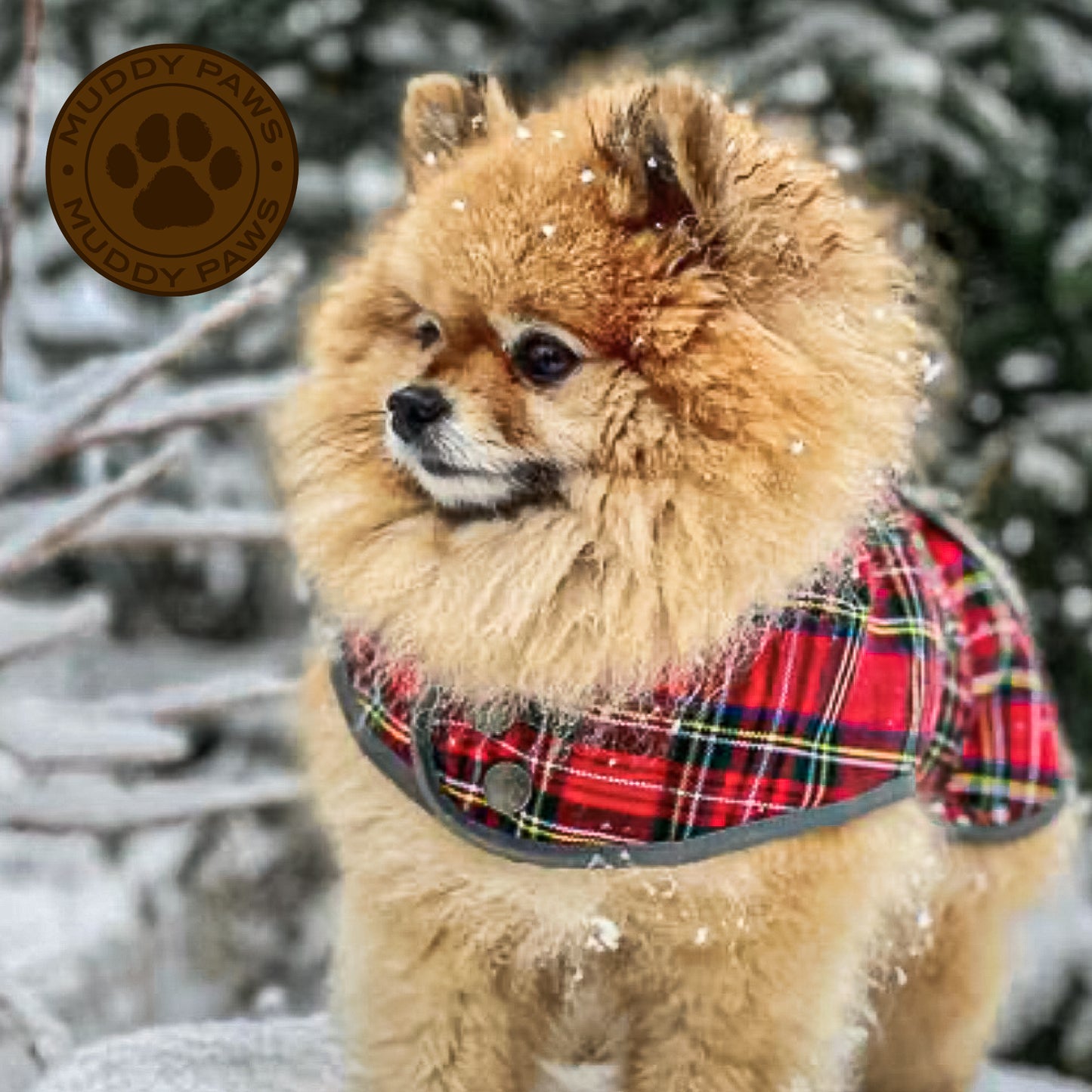 Highland Tartan Dog Coat