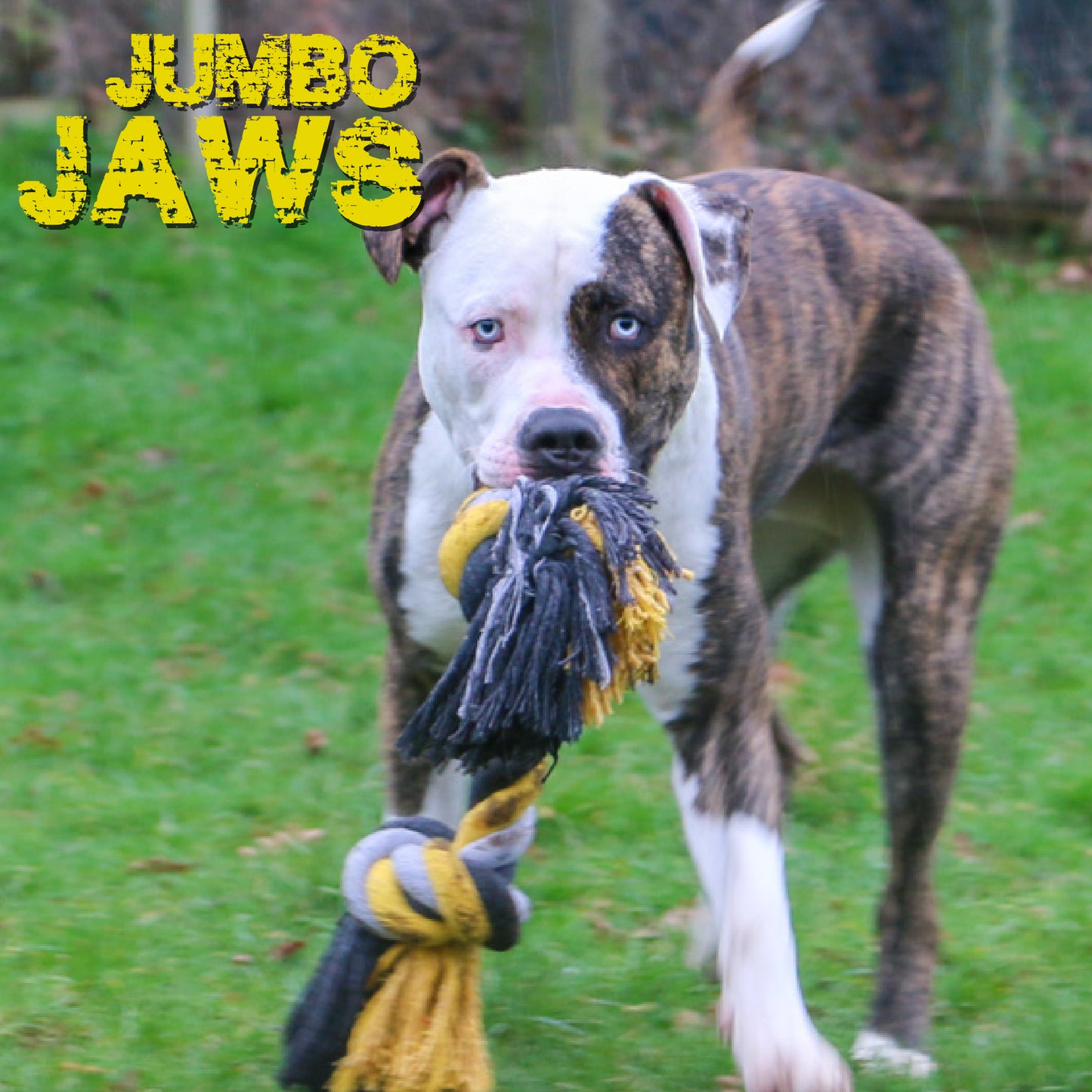 Jumbo Jaws Chunky Rope