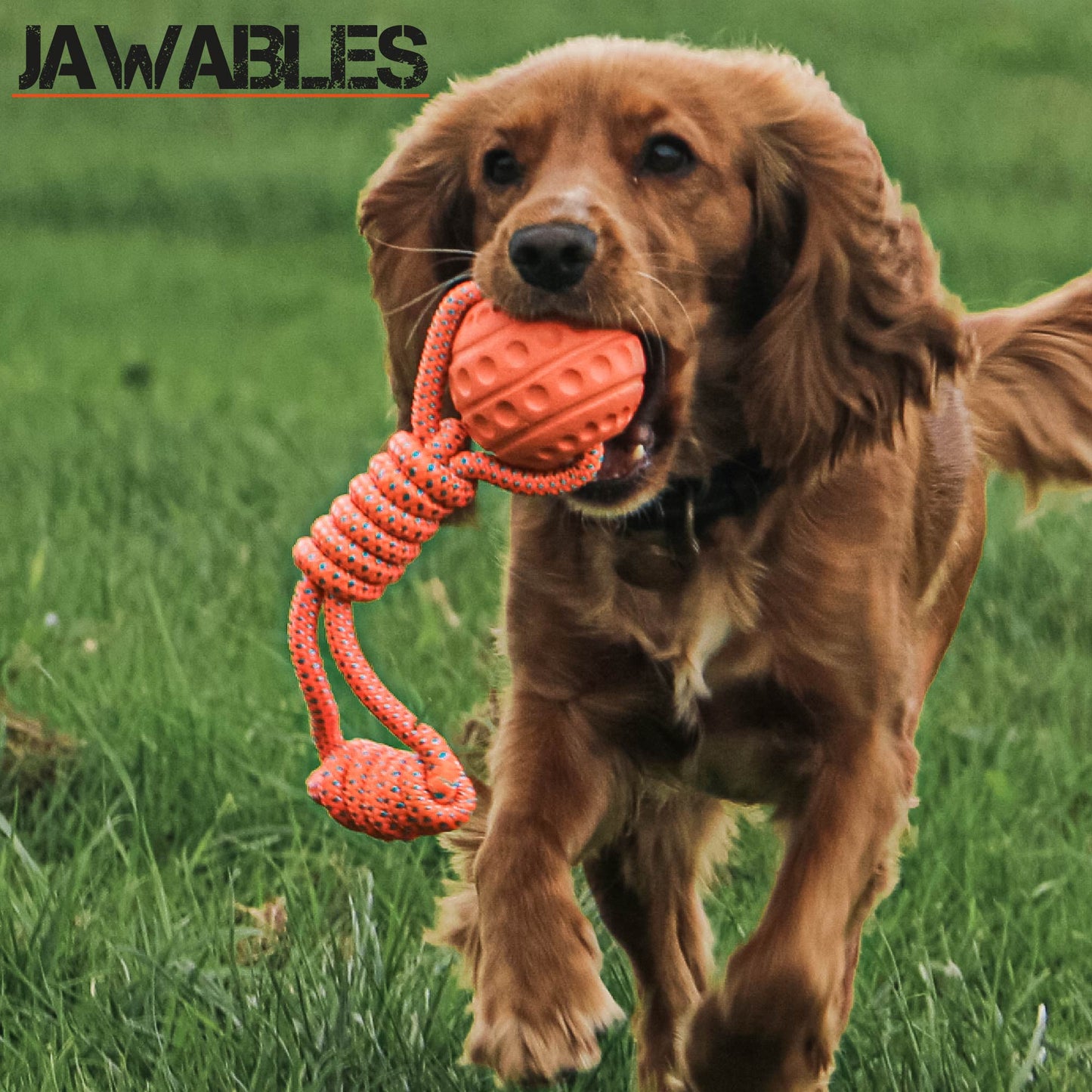 Jawables Ball Tug