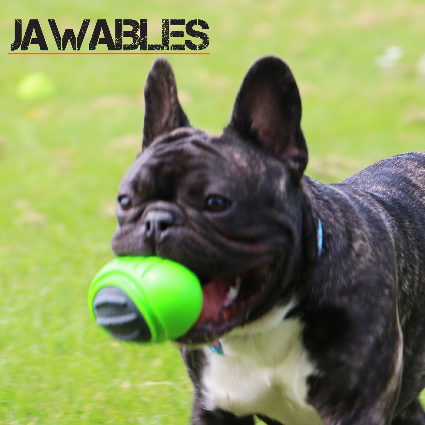 Jawables Tough Rugby Ball