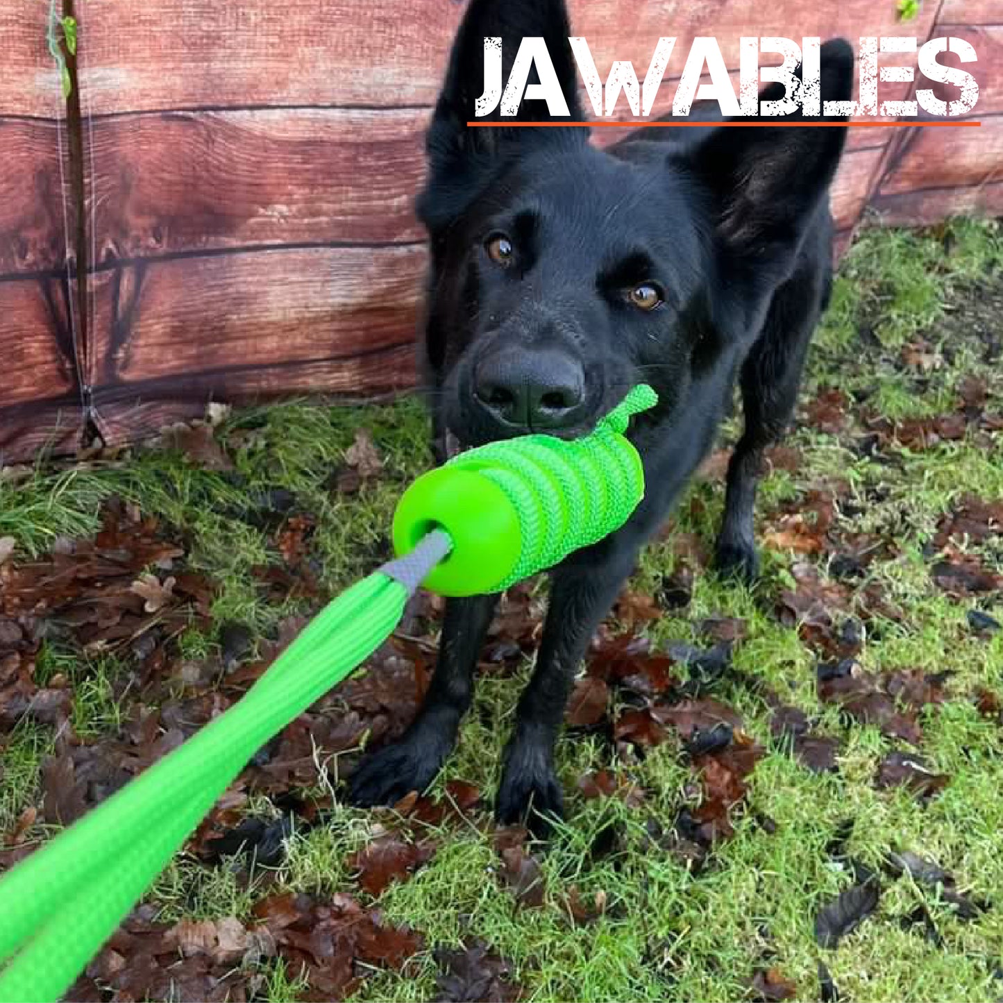 Jawables Interactive Rope Toy